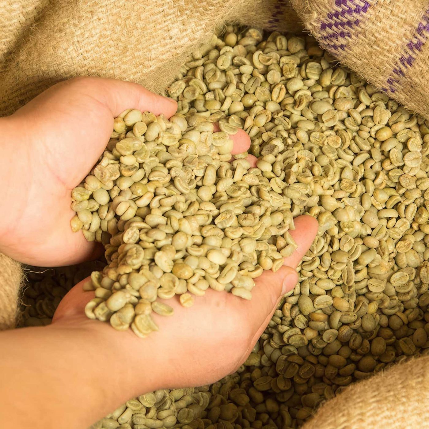 Excelsa Green Coffee Beans Excelsa Green Coffee Beans